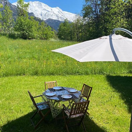 Appartement Lumineux Et Cosy En Rez De Jardin Saint-Gervais-les-Bains Eksteriør bilde