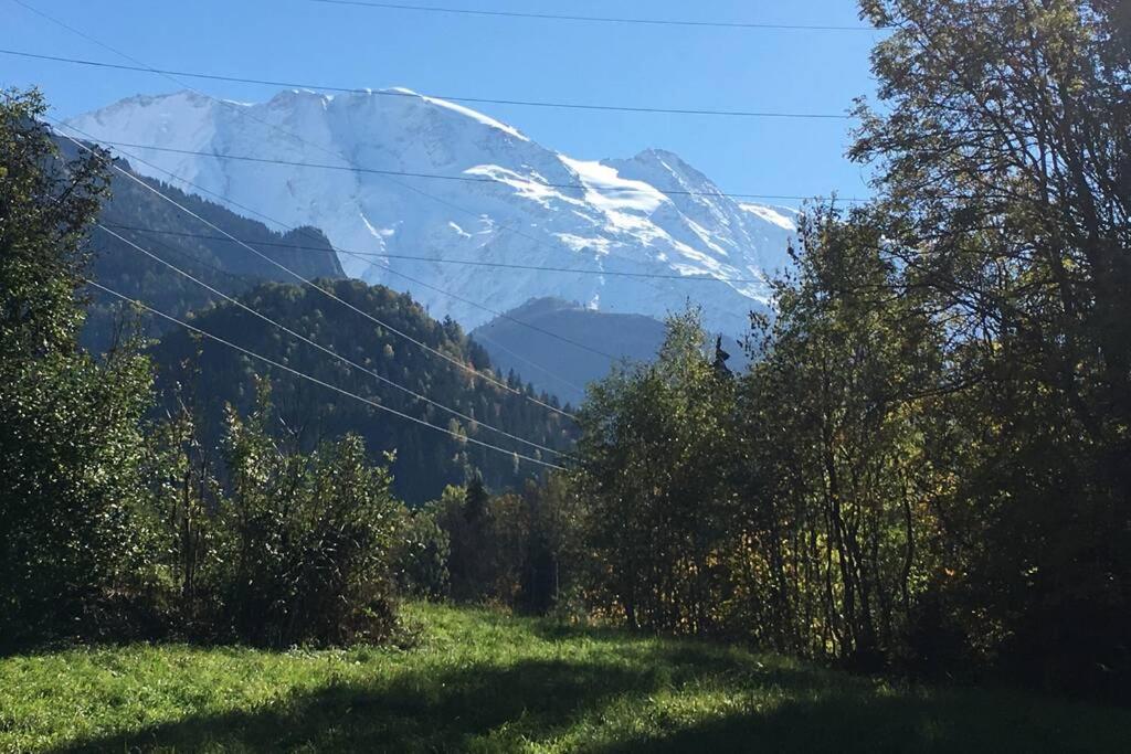 Appartement Lumineux Et Cosy En Rez De Jardin Saint-Gervais-les-Bains Eksteriør bilde