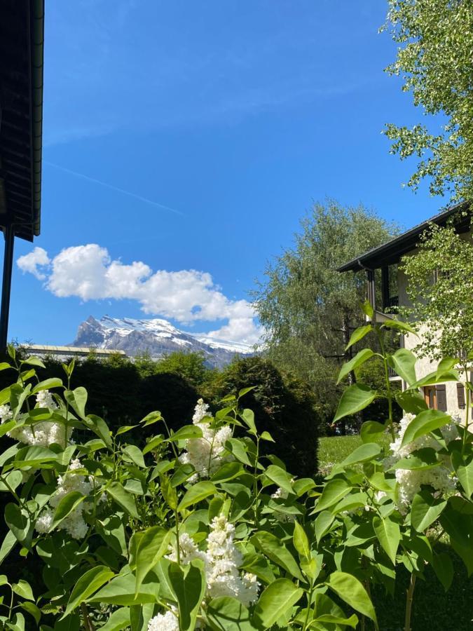 Appartement Lumineux Et Cosy En Rez De Jardin Saint-Gervais-les-Bains Eksteriør bilde